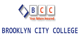 Brooklyn City College Courses