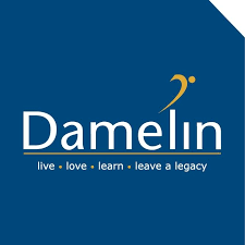 Damelin courses