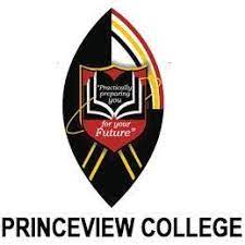 Princeview College courses