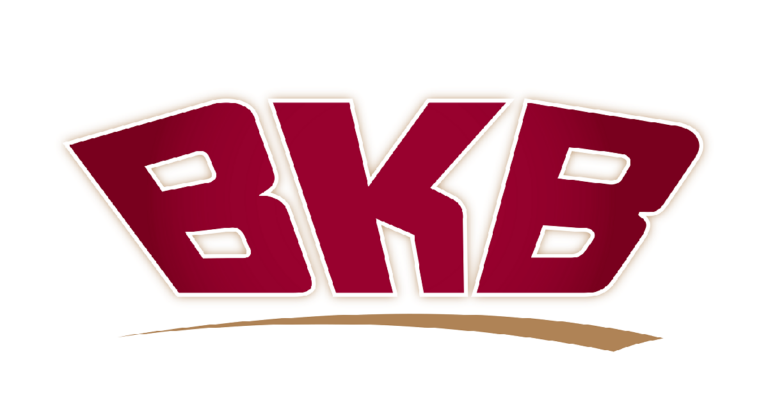 BKB Admin Internship