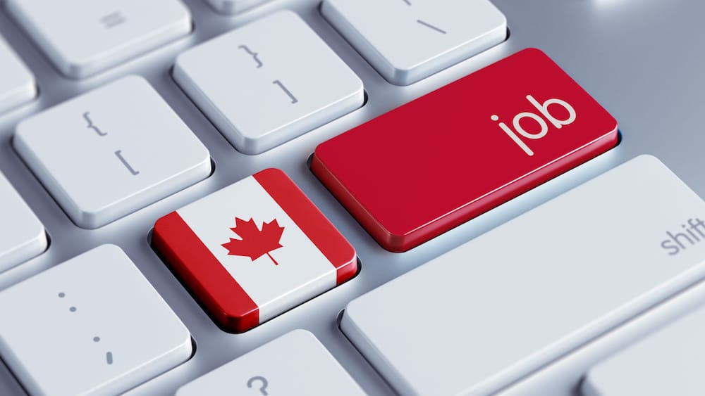 4 Top Banking Jobs In Canada In 2024 Work And Study   Banking Jobs In Canada 