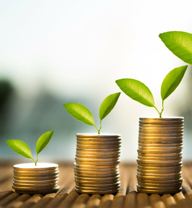  Simplified Employee Pension plan