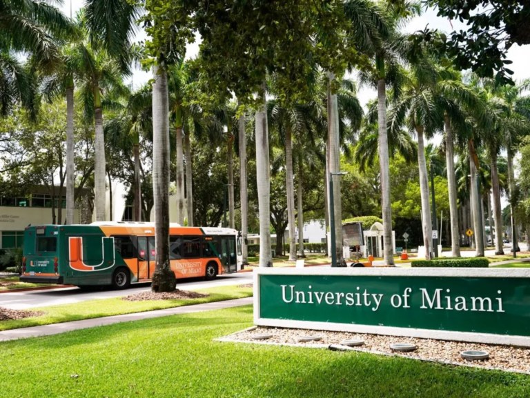University of Miami Stamps Scholarship