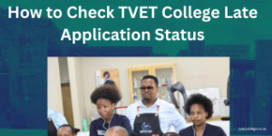 How to Check TVET College Late Application Status